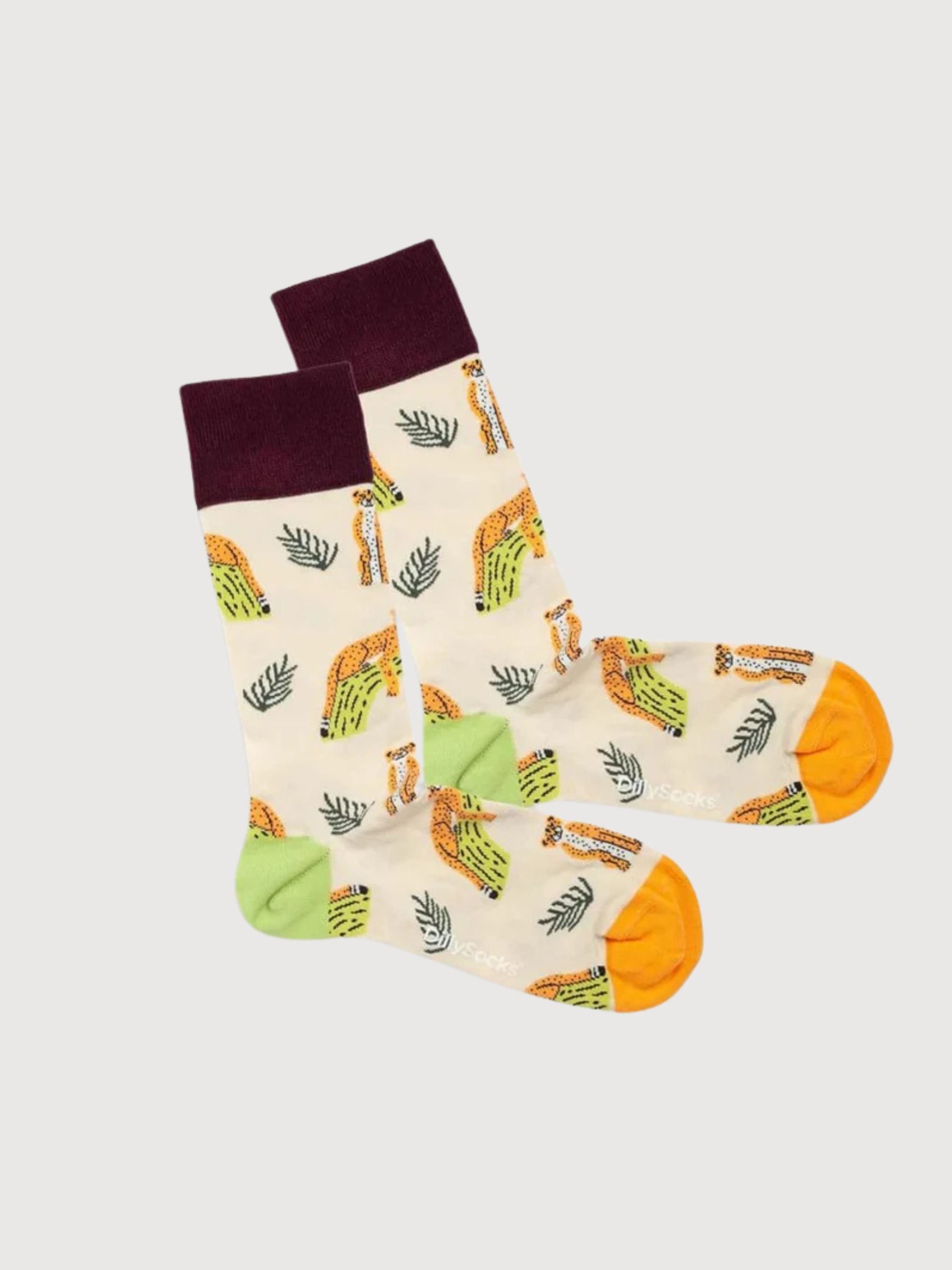 Organic Cotton Socks Chillaxing Cat | Dillysocks