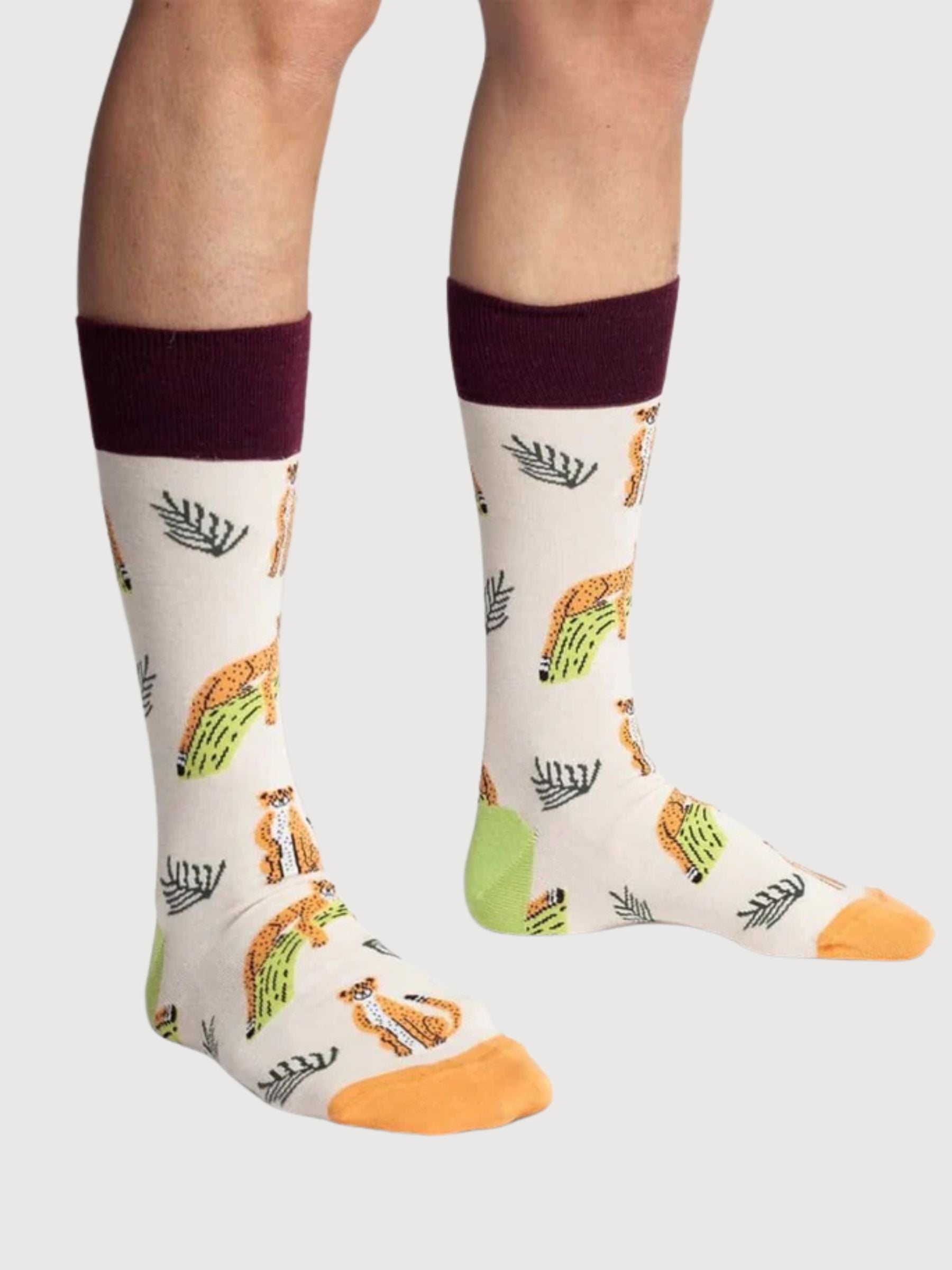 Organic Cotton Socks Chillaxing Cat | Dillysocks