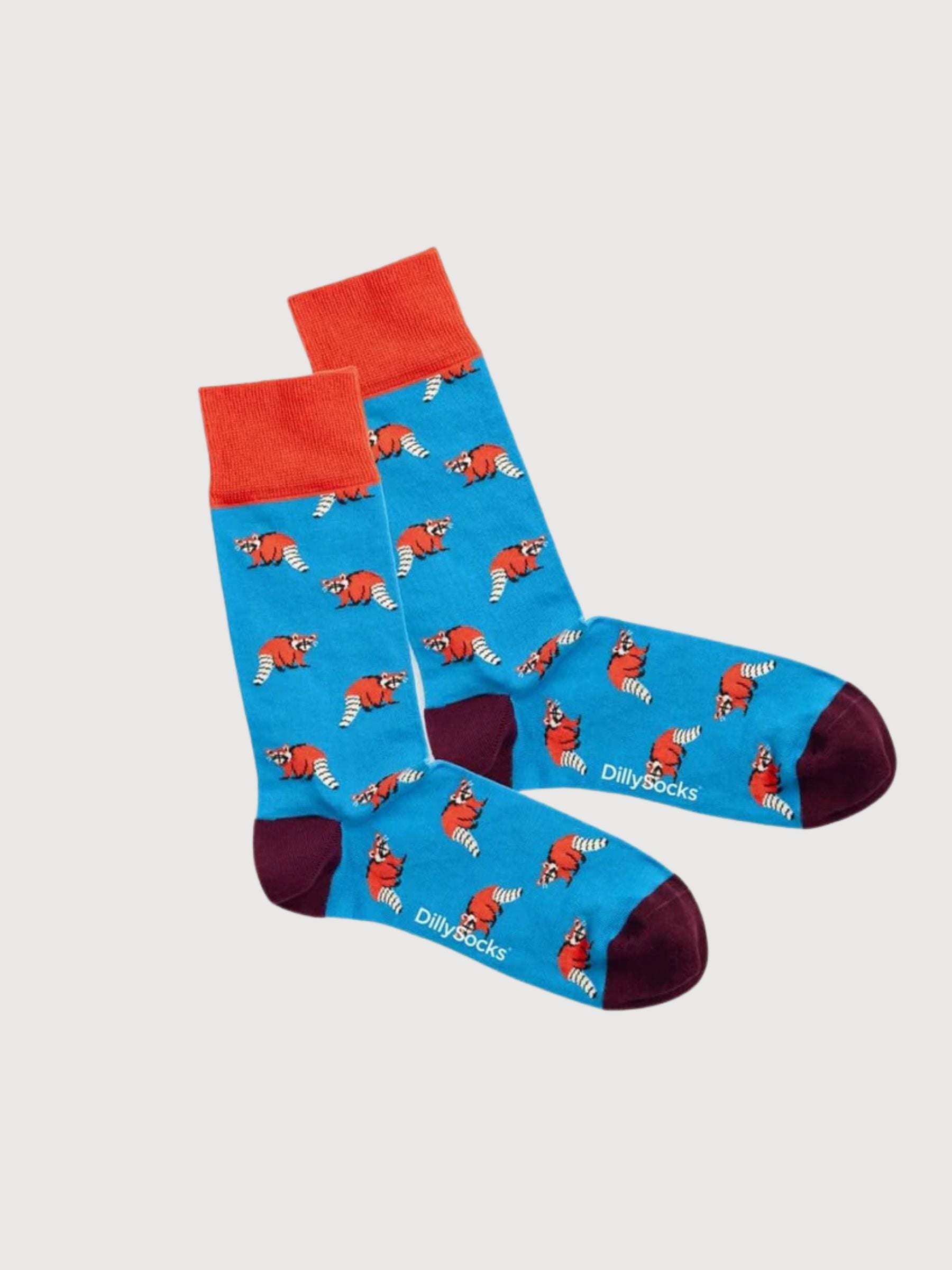 Calzini Look Racoon | Dillysocks