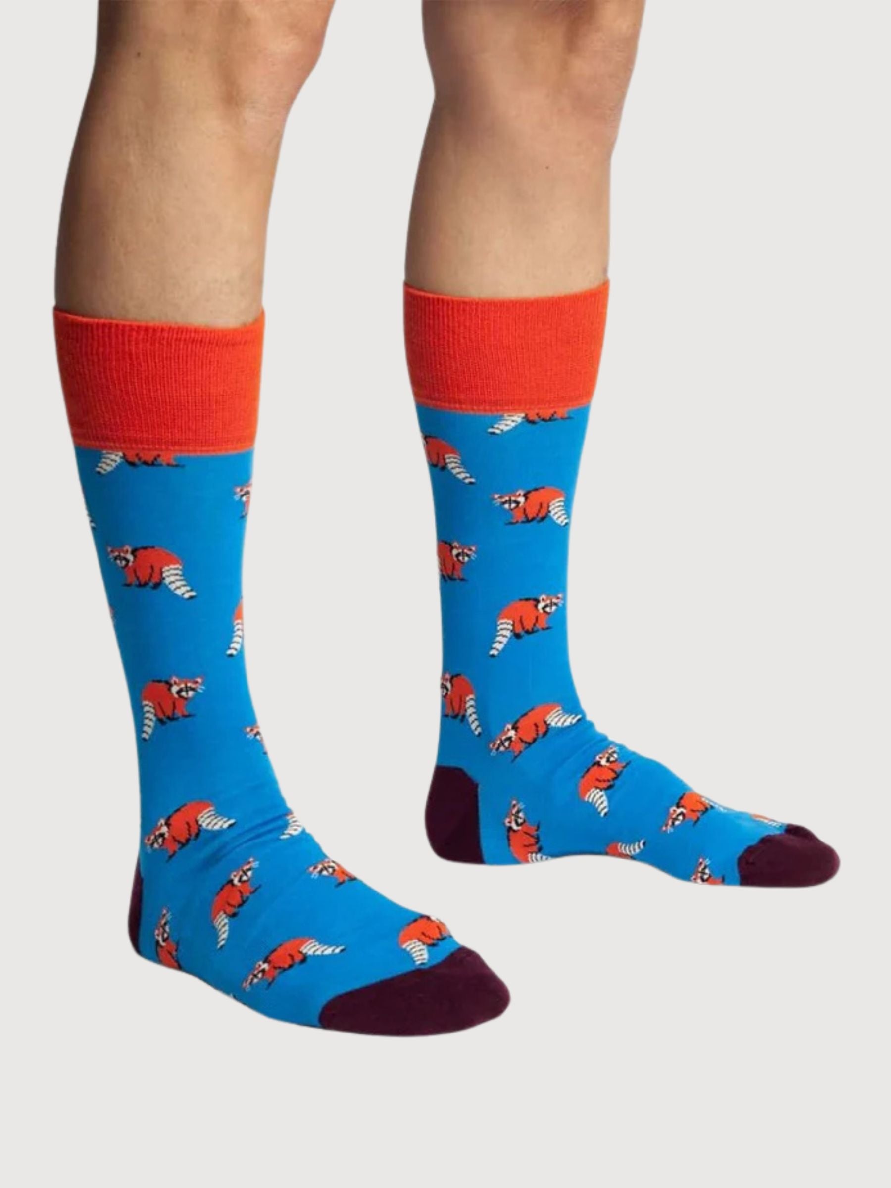 Calzini Look Racoon | Dillysocks