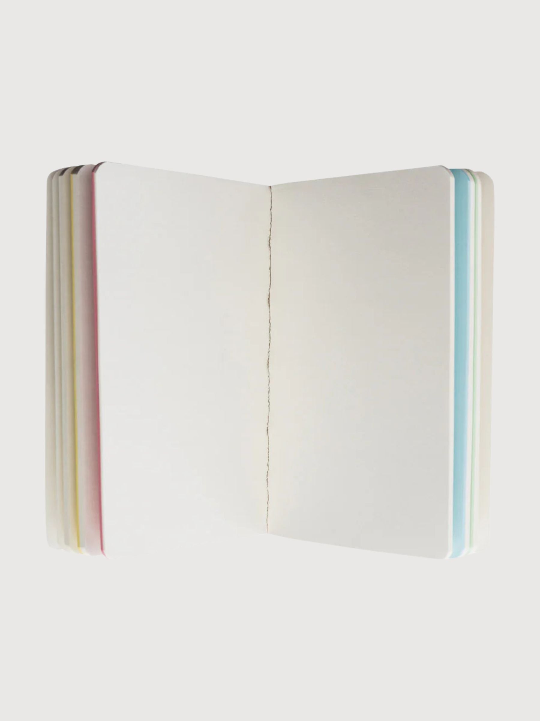 Notebook VIBRANT BEETLE | Tranquillo