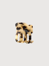 PAW | SASSTIE