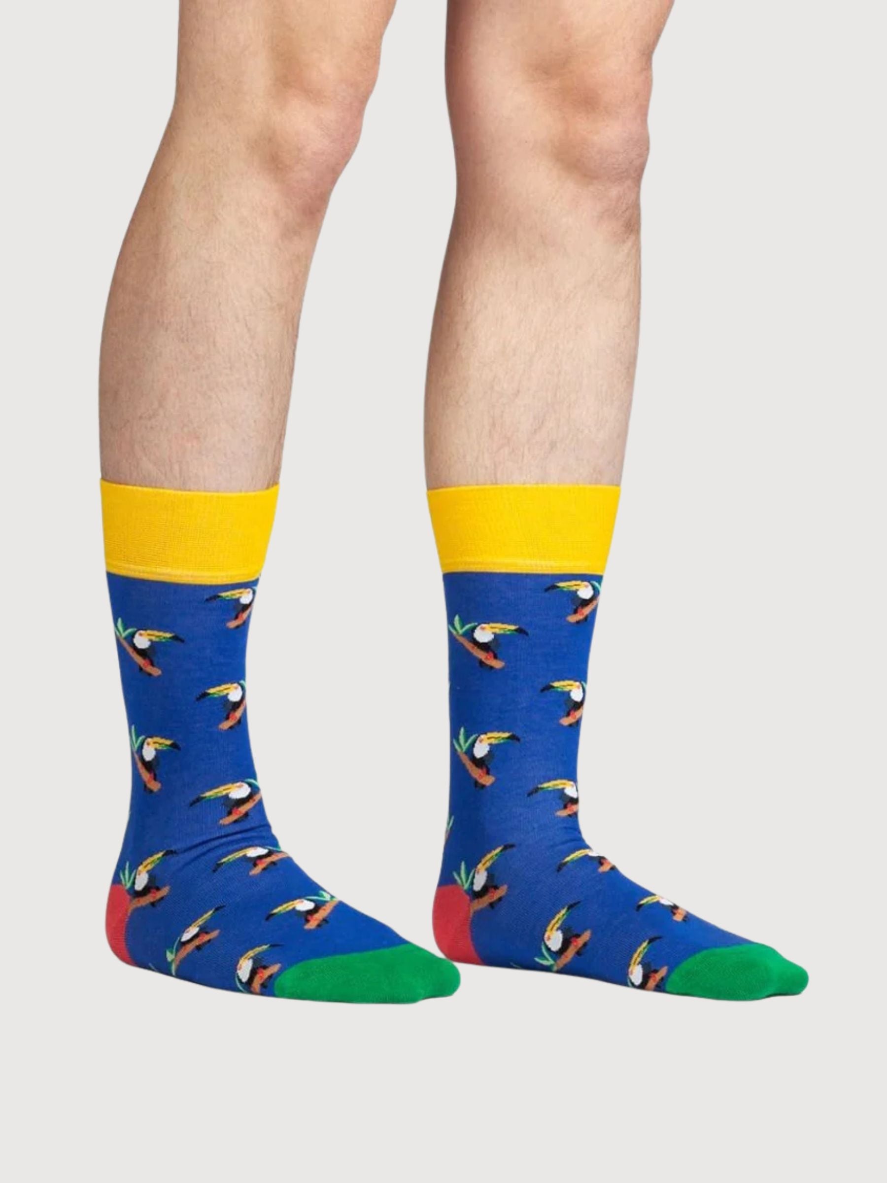 Tropischer Tukan | Dillysocks
