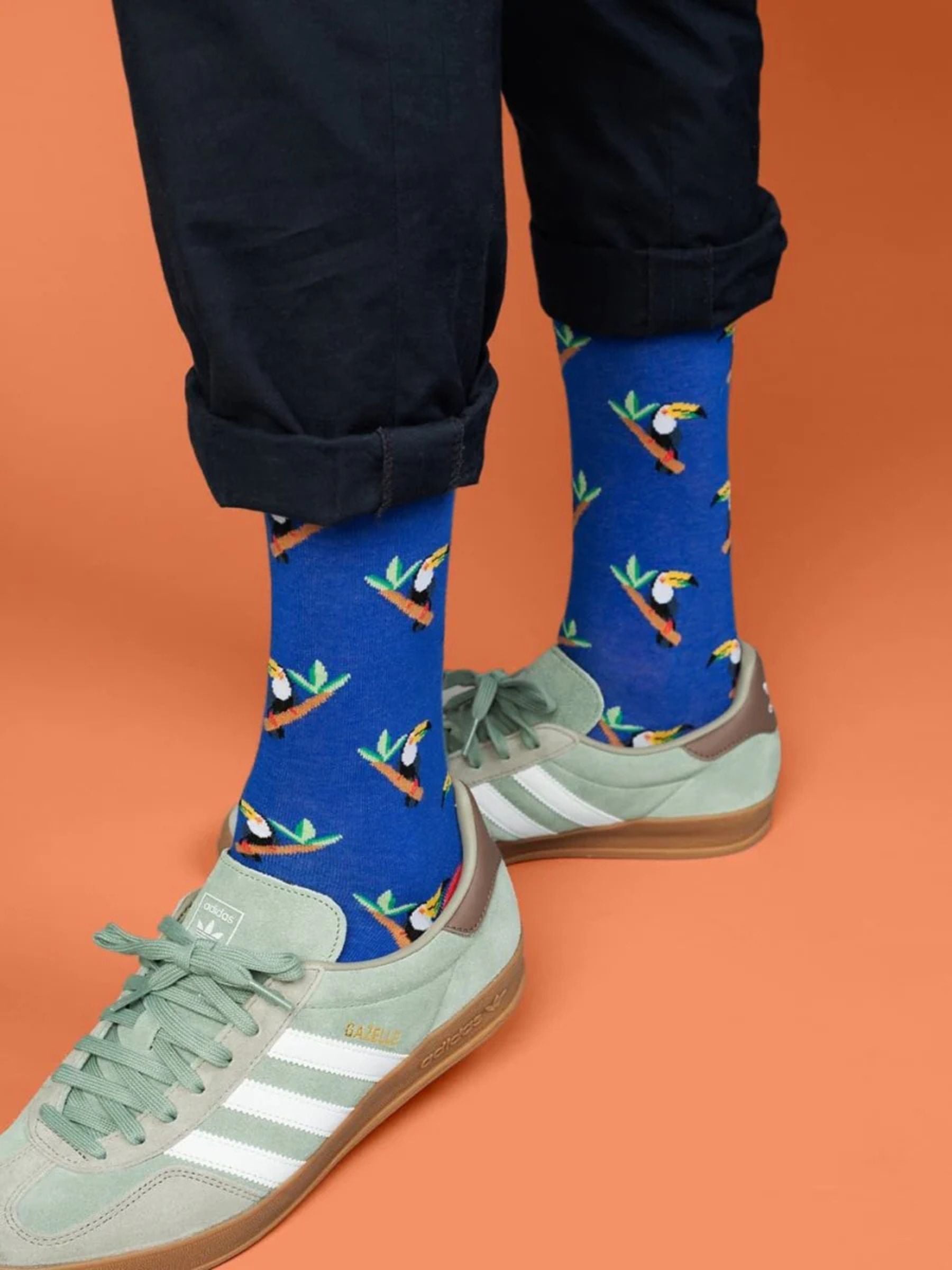 Tropischer Tukan | Dillysocks