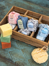 Sife LUNARI PAPAYA | Tranquillo