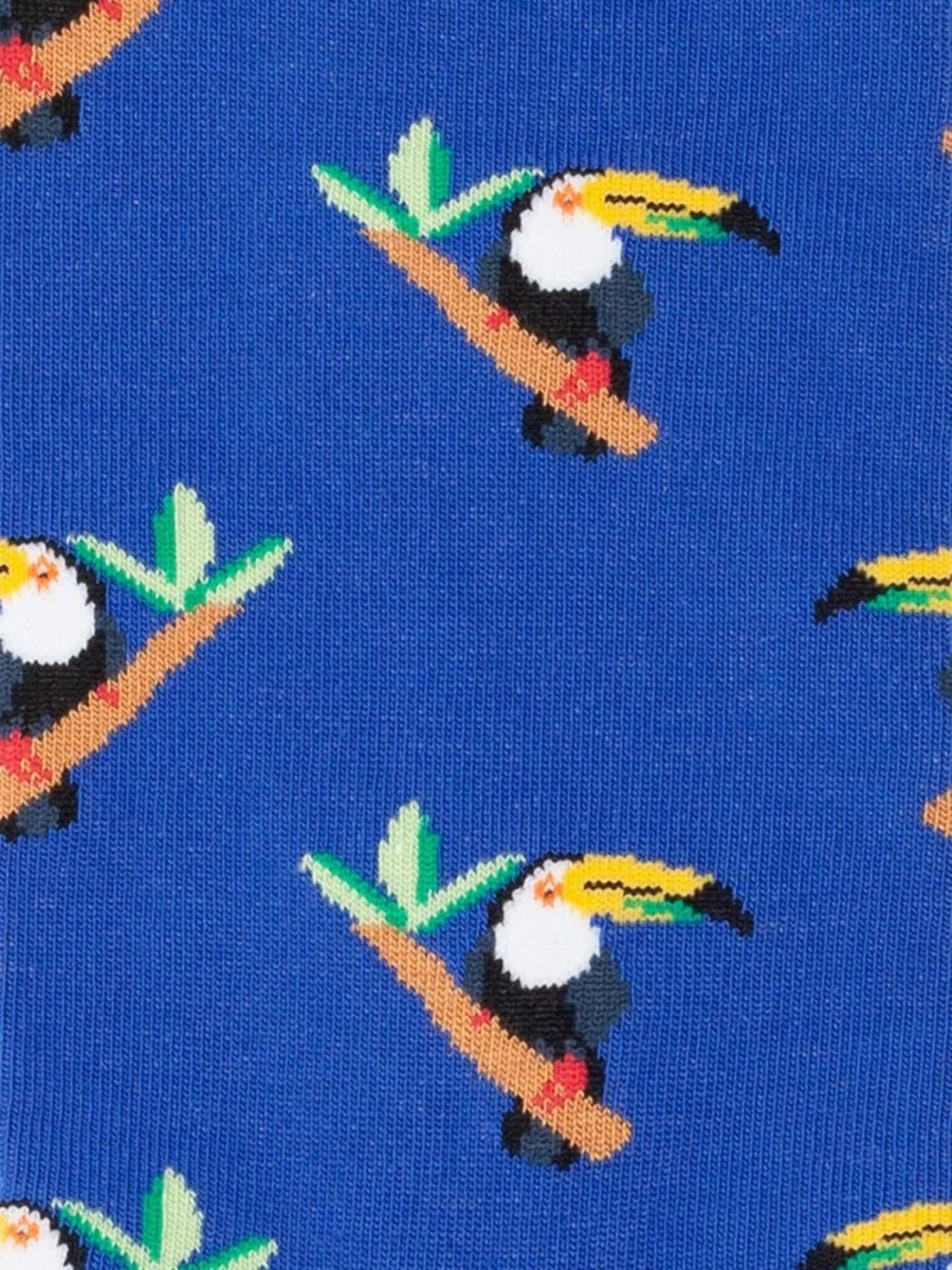 Tropischer Tukan | Dillysocks