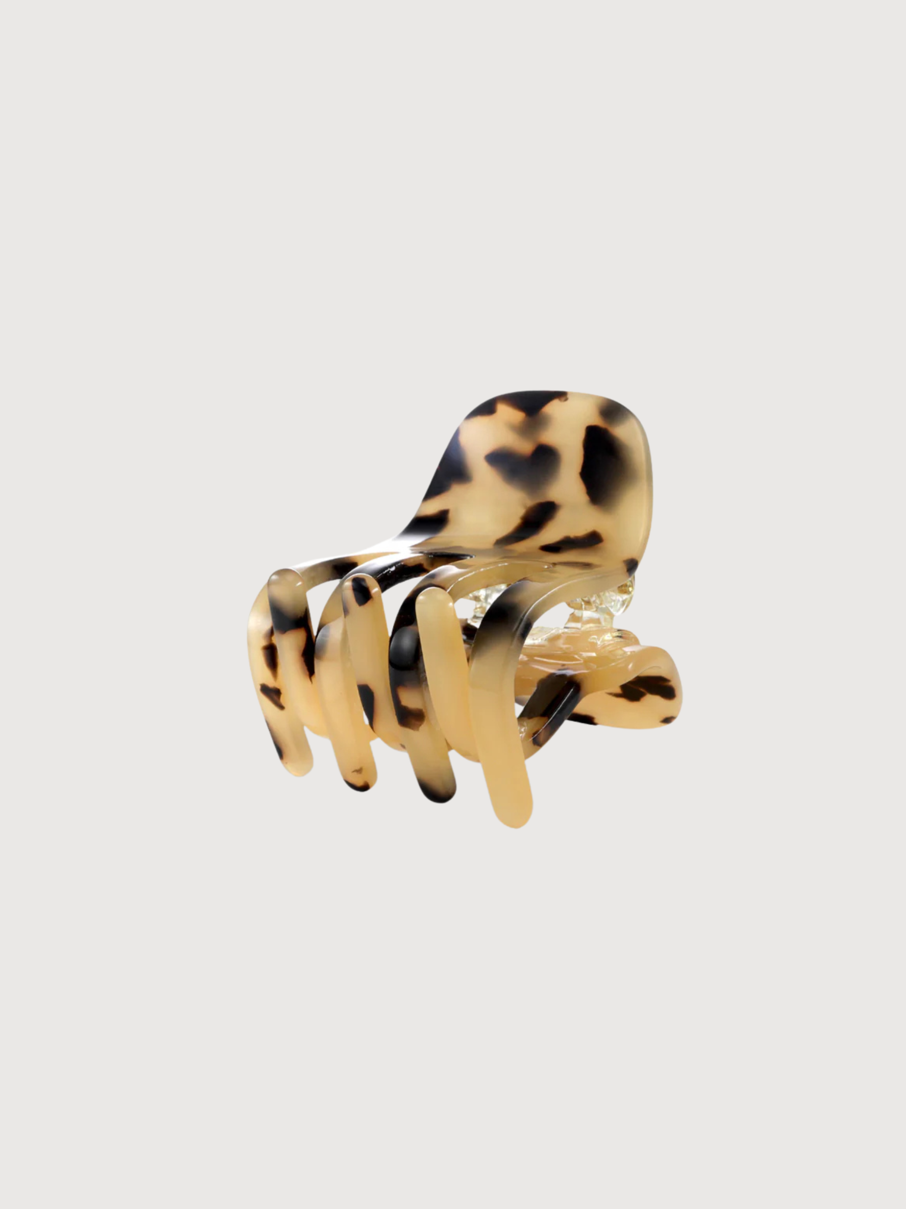 PAW | SASSTIE