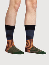 Erdige Streifen | Dillysocks