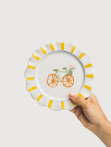 Dish Velobloom Por851 | Tranquillo