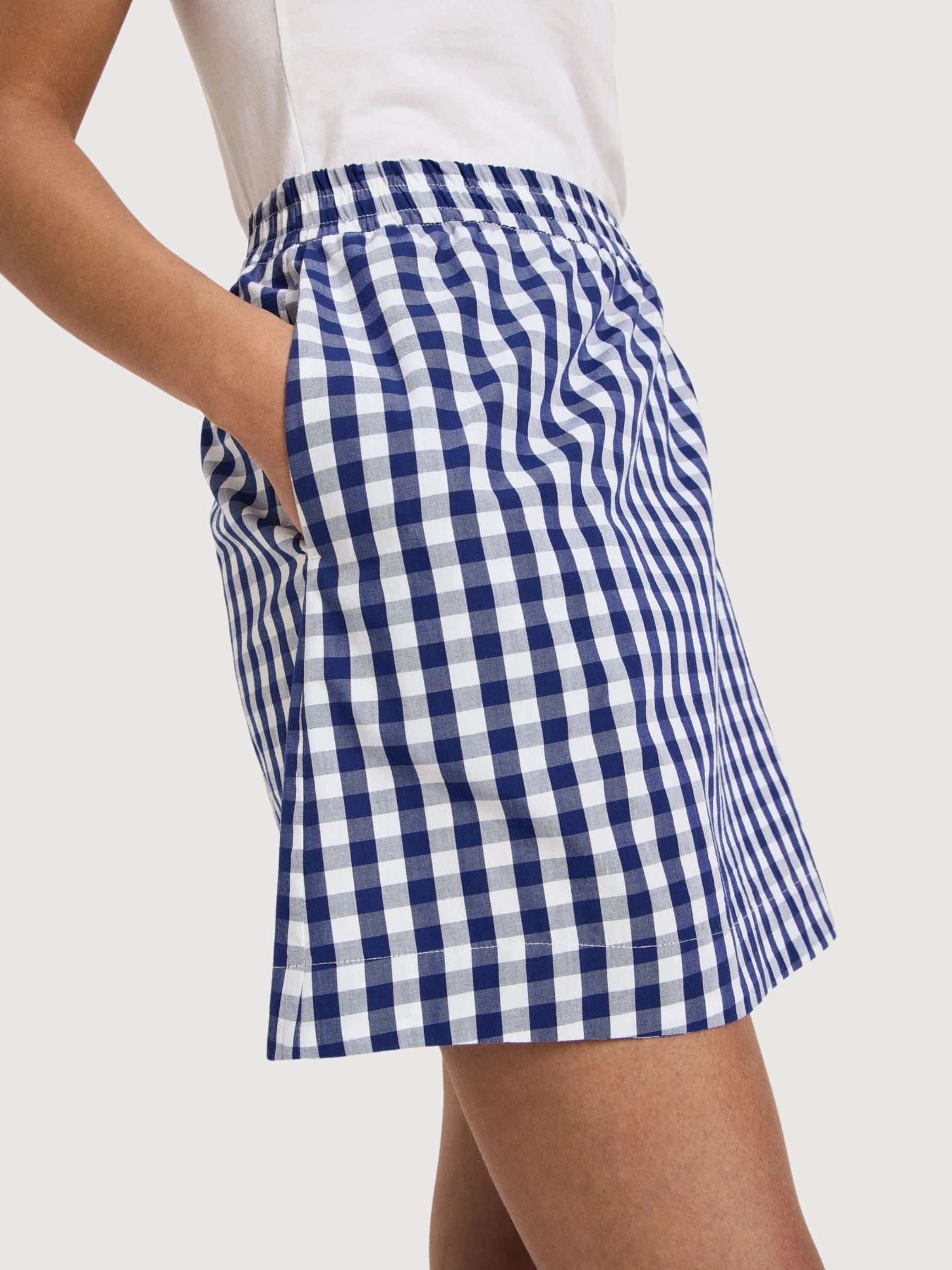 Skirt Vichy Check Blue/White Cotton | Lanius
