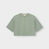T-shirt Ljusdal Iceberg Green Cotton | Dedicated