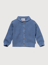 Pullover Bambino Azzurro Cotone organico | People Wear Organic