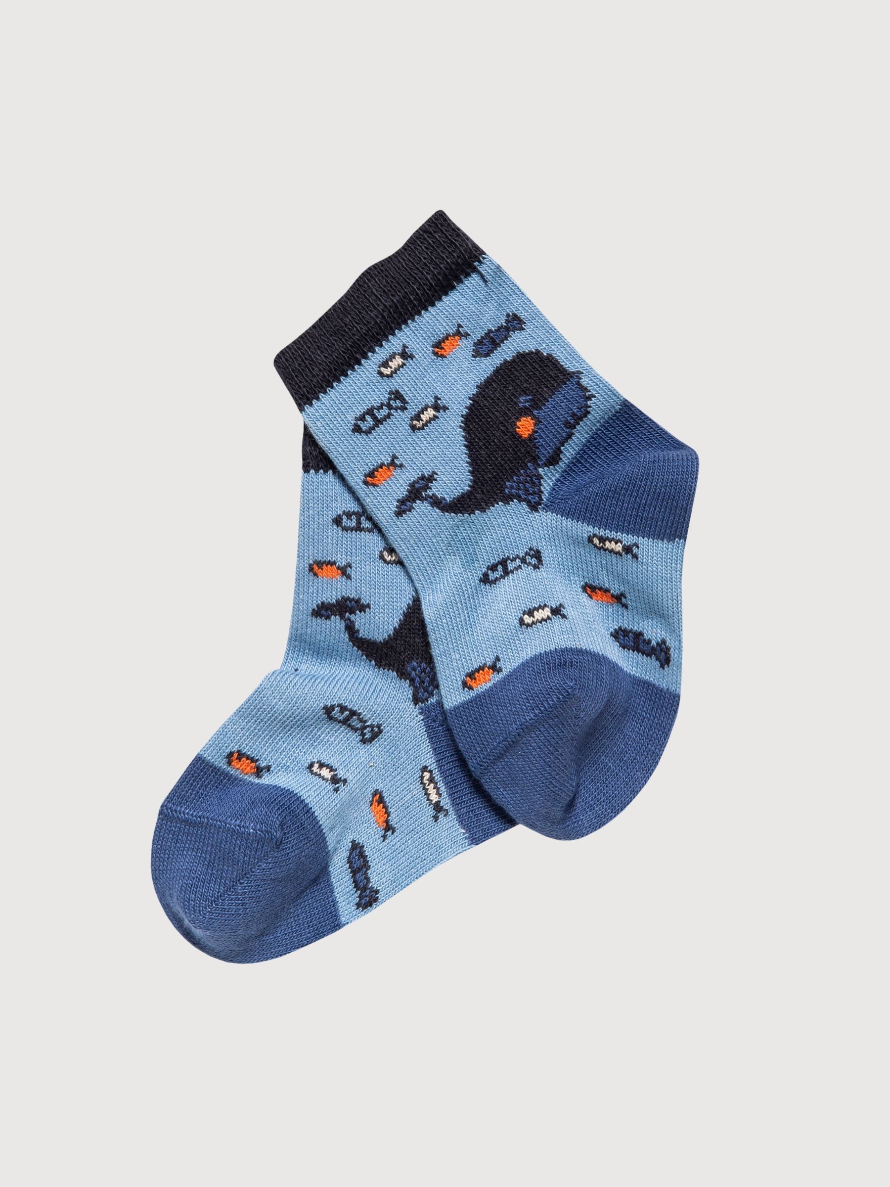 Socken Baby Boy Fisch Multicolor Bio-Baumwolle | People Wear Organic