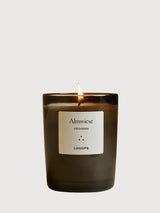 Almweise Duftkerze 250g | Looops