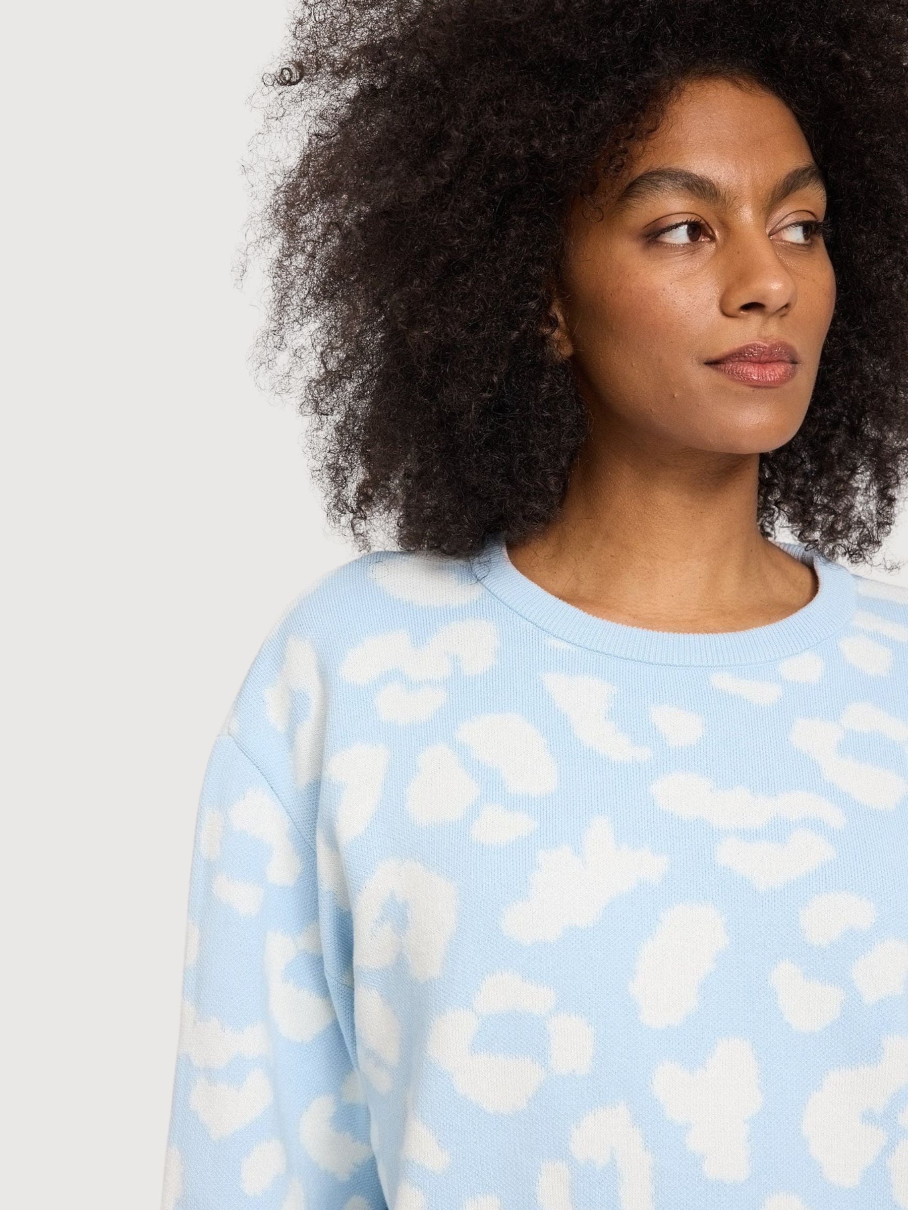 Pullover Leo Jacquard Dream Blu/Bianco | Mazine