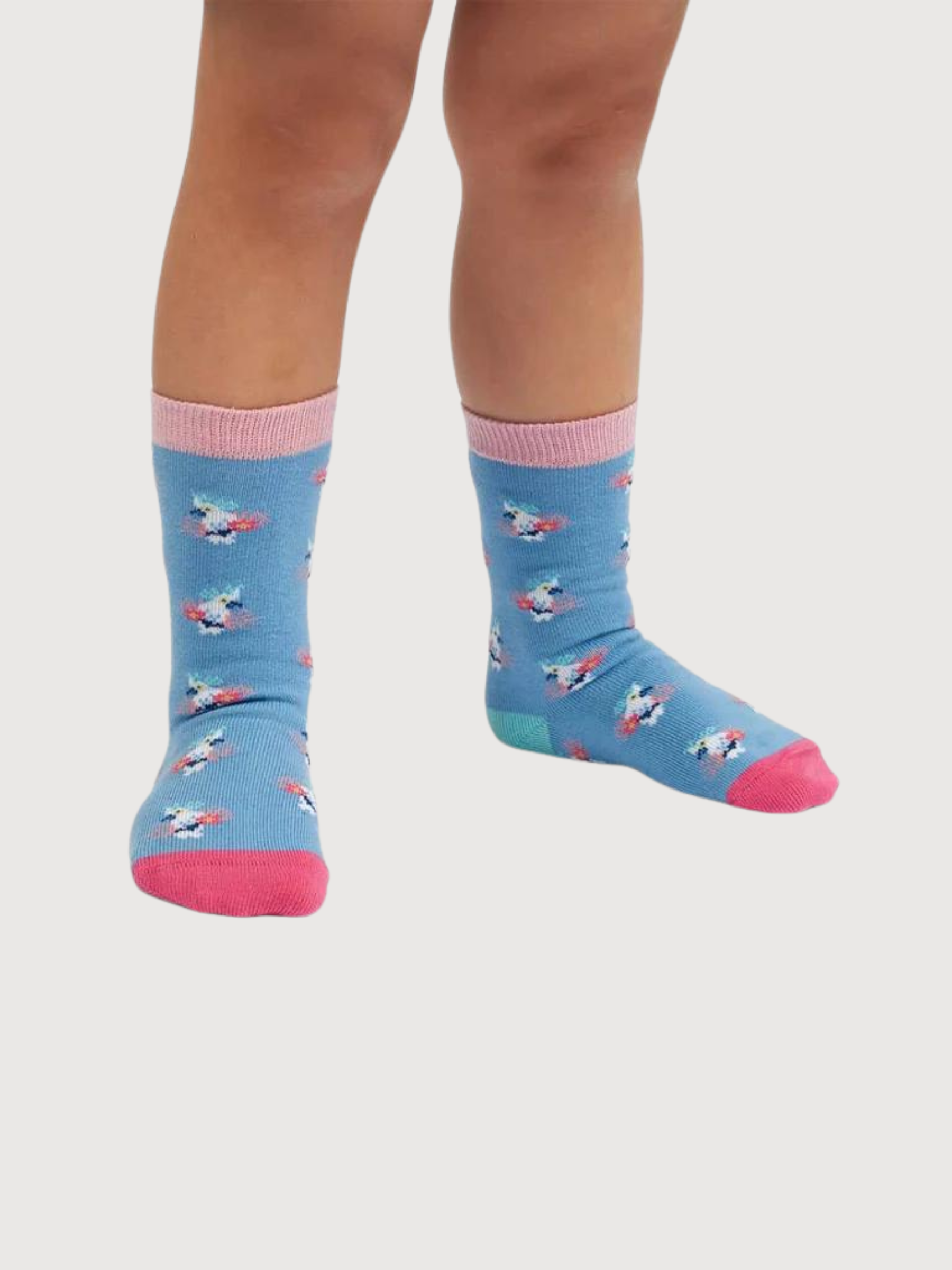 Lil Socks Tropical Bird of Paradise Organic Cotton | DillySocks