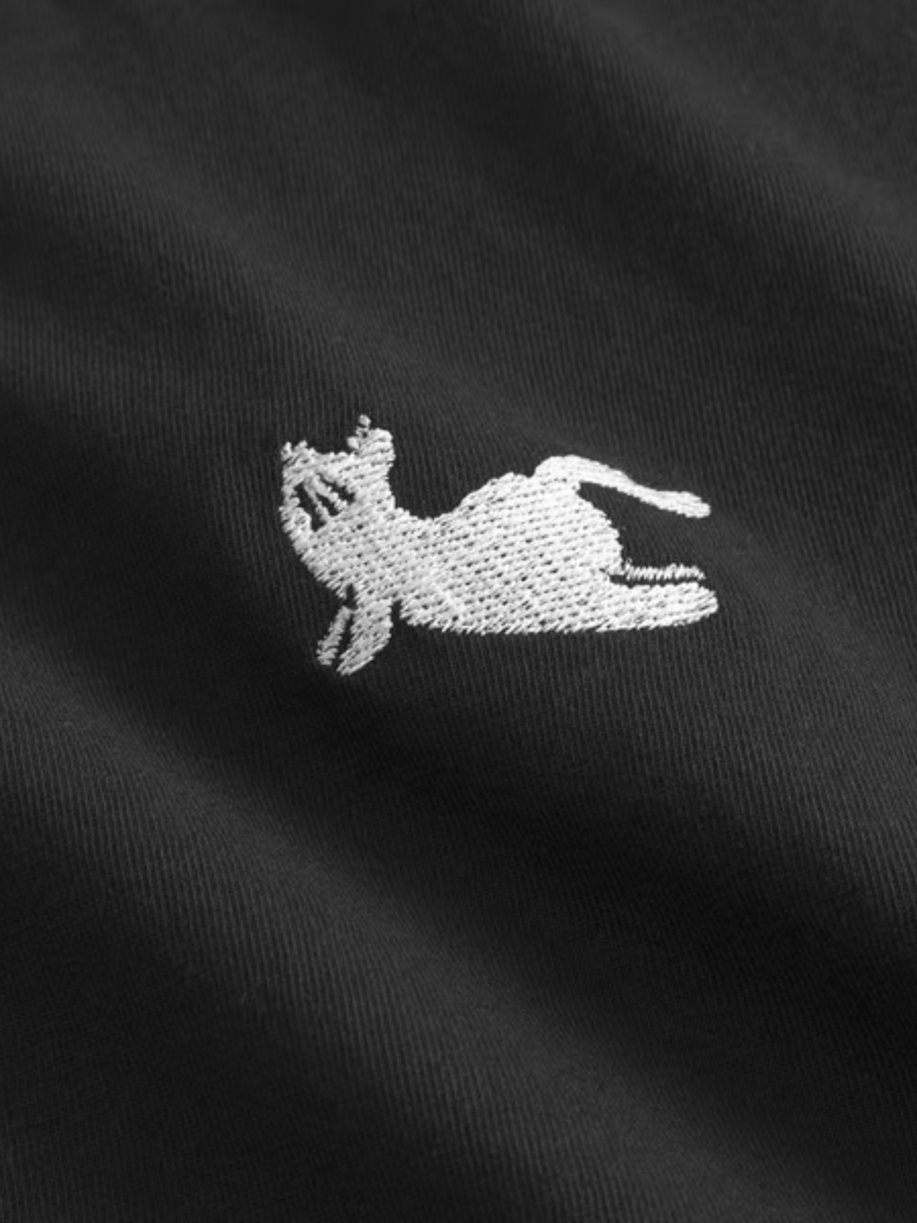 T-shirt Vadstena Cat Cobra Pose Black | Dedicated