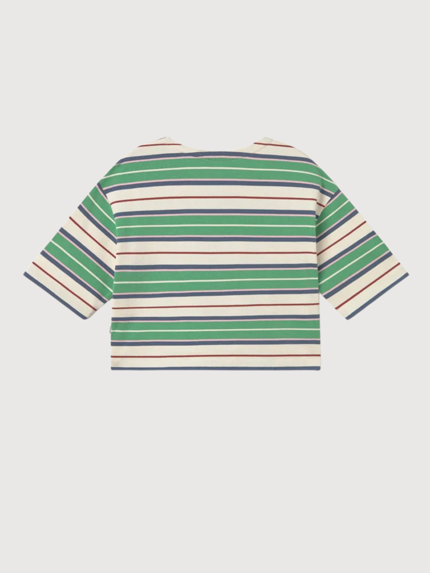 FINGAL Verde Strisce Rugby | TWOTHIRDS