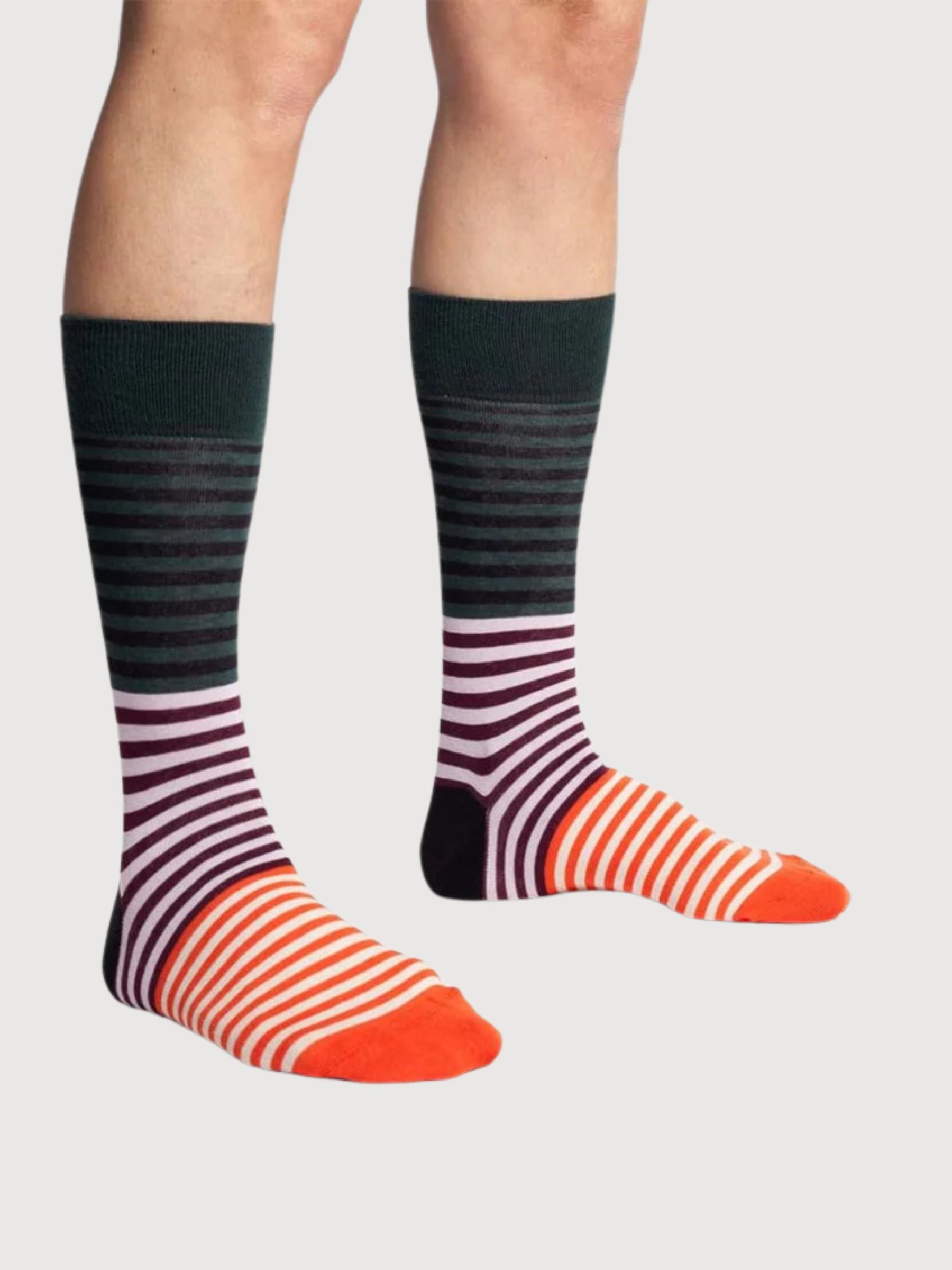 Socks Radiant Lining in Organic Cotton | Dillysocks