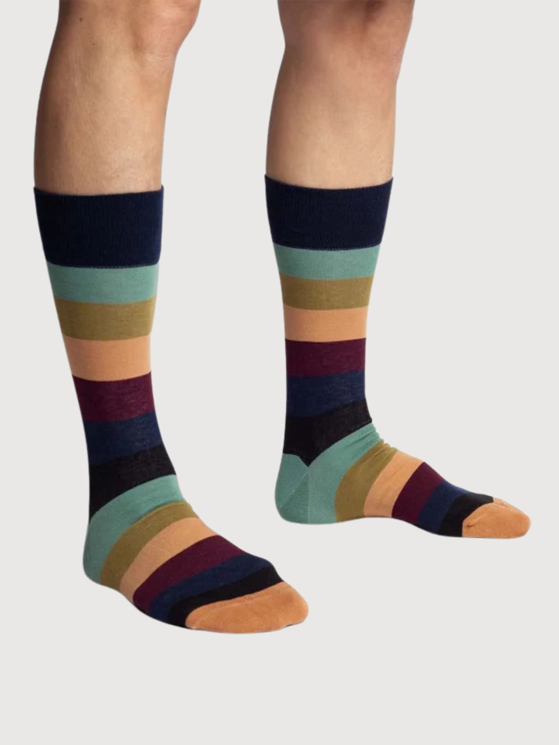 Organic Cotton Socks Fall Sky Lining | Dillisocks