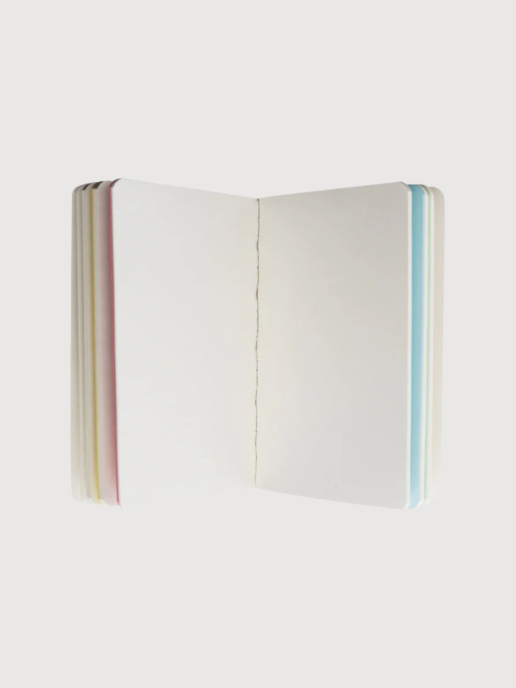 Notizbuch VIBRANT BEETLES | Tranquillo