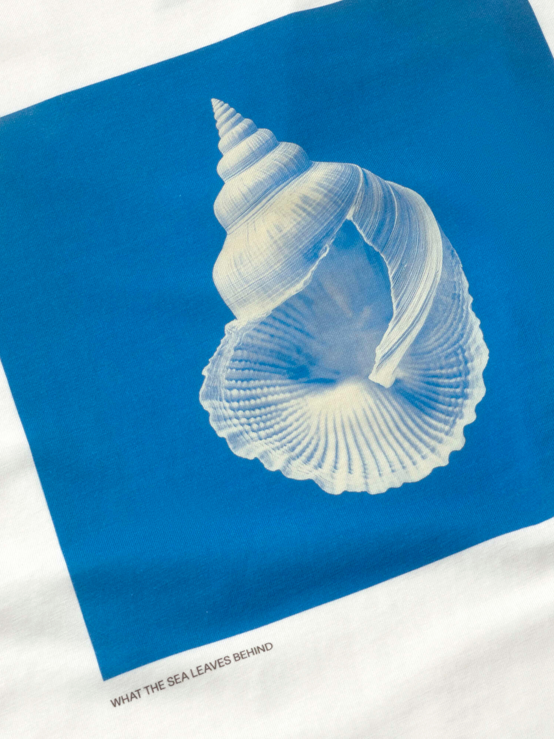 T-Shirt Lena Tesoro Marino Donna | Thinking Mu