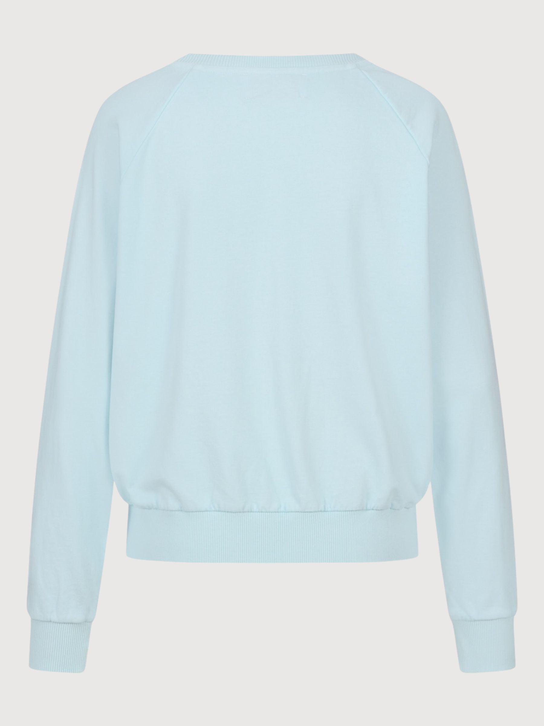 Sweatshirt Palm | ANOTHER BRAND