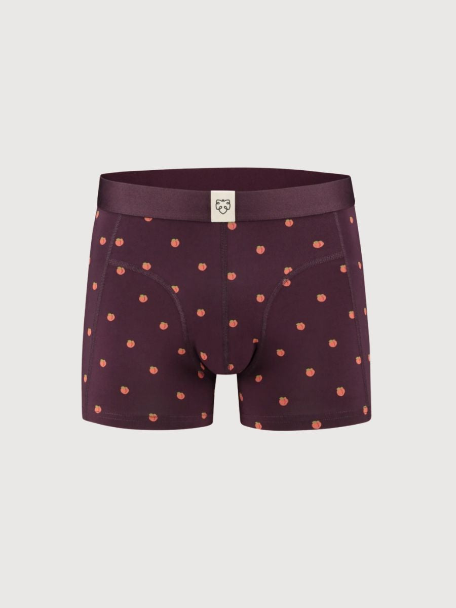 Manus Boxer in Organic Cotton I A-dam