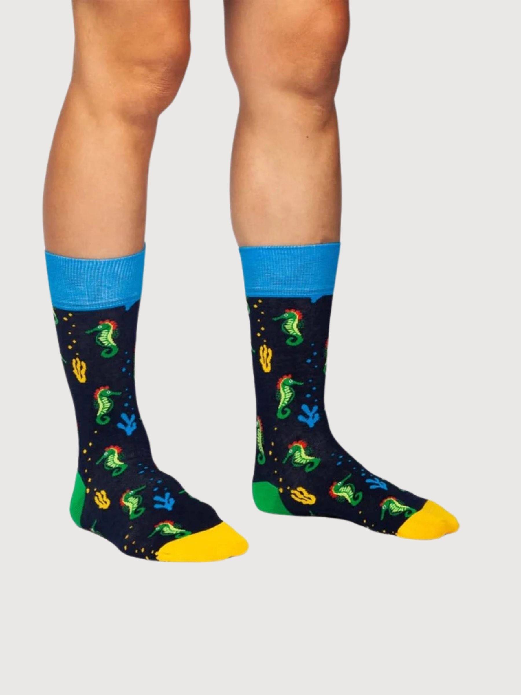 Seahorse Story Socken | Dillysocks