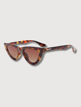 CIMA Tortoise Gradient Brown | Parafina