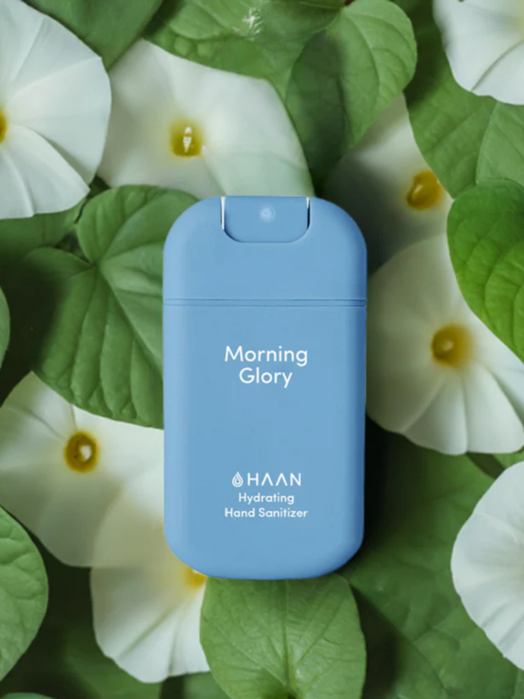Kosmetik Handdesinfektionsmittel Morning Glory | Haan