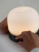 Quint Electric Diffuser |Looops