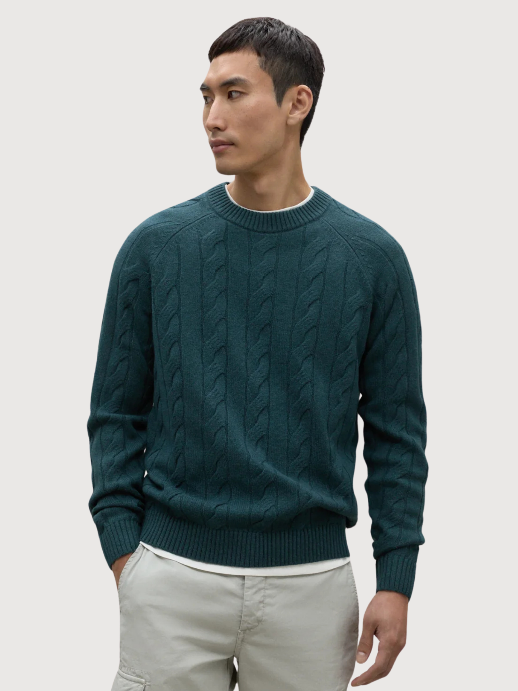 Tilo Pullover Herren Grün | Ecoalf