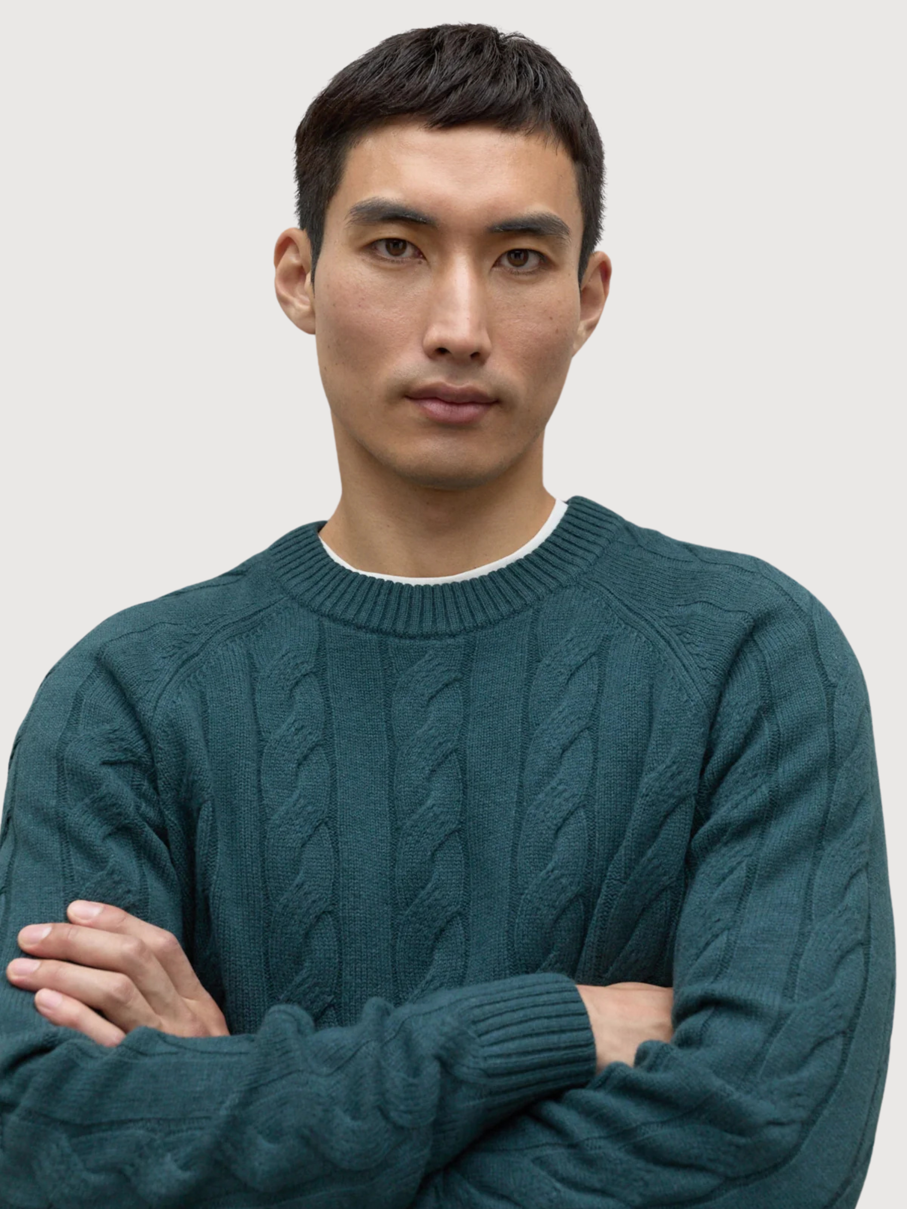 Tilo Pullover Herren Grün | Ecoalf