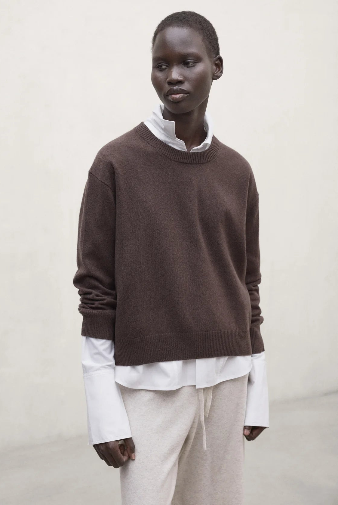 Cosmos Women's Sweater in dark chocolate by ECOALF, featuring a cozy knit design and long sleeves.