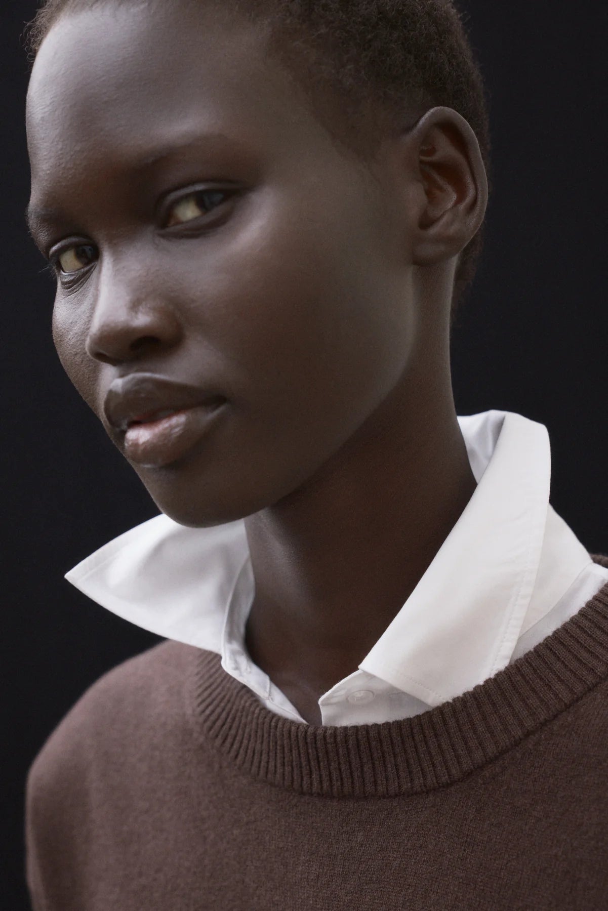 Sweater Cosmos Dark Chocolate for Women | ECOALF