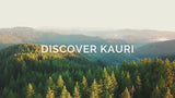 discover kauri video