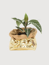 Paper Bag Medium Metallo Avana/Gold | Uashmama