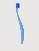 Blue toothbrush | Promis